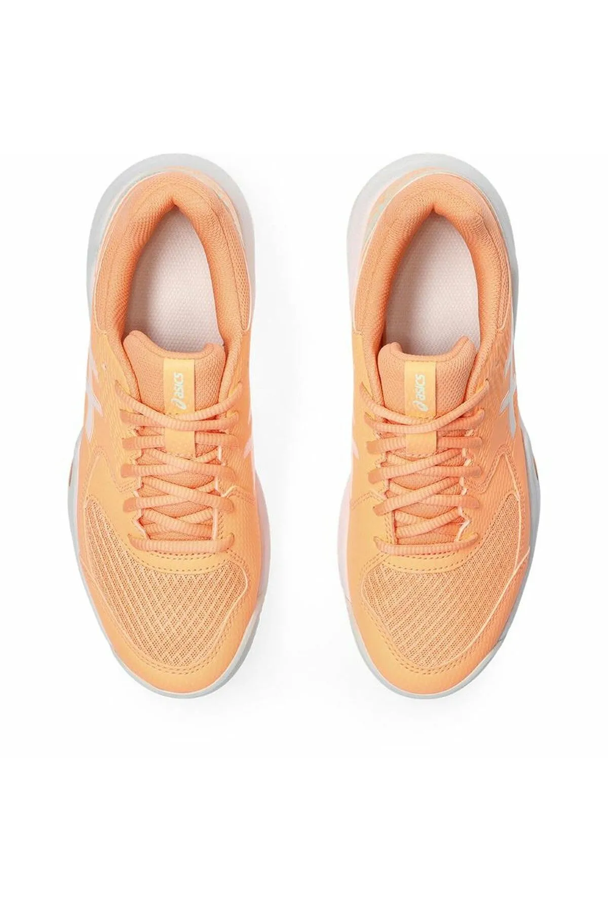 Asics Wrestling Shoes Matflex 4 Adult's Padel Trainers Asics Gel-Dedicate 8 Orange