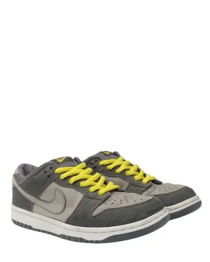 Dunk Low Pro-B "Lightning" Asics Shoes Walking