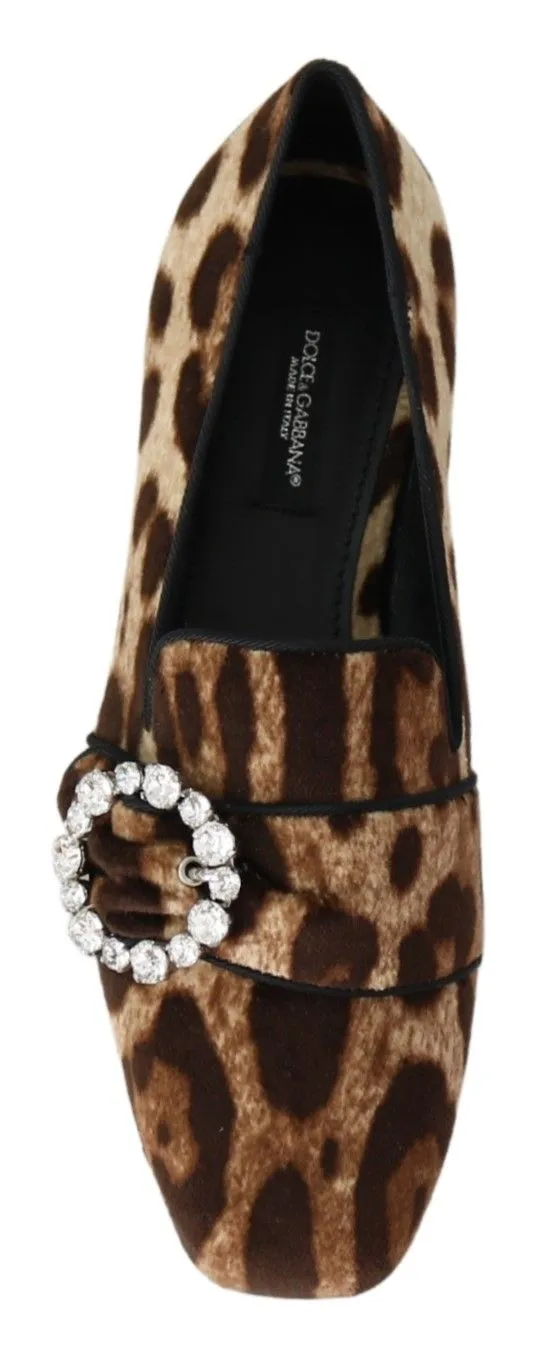 Star Flat Shoes Dolce & Gabbana Leopard Print Crystal Embellished Loafers