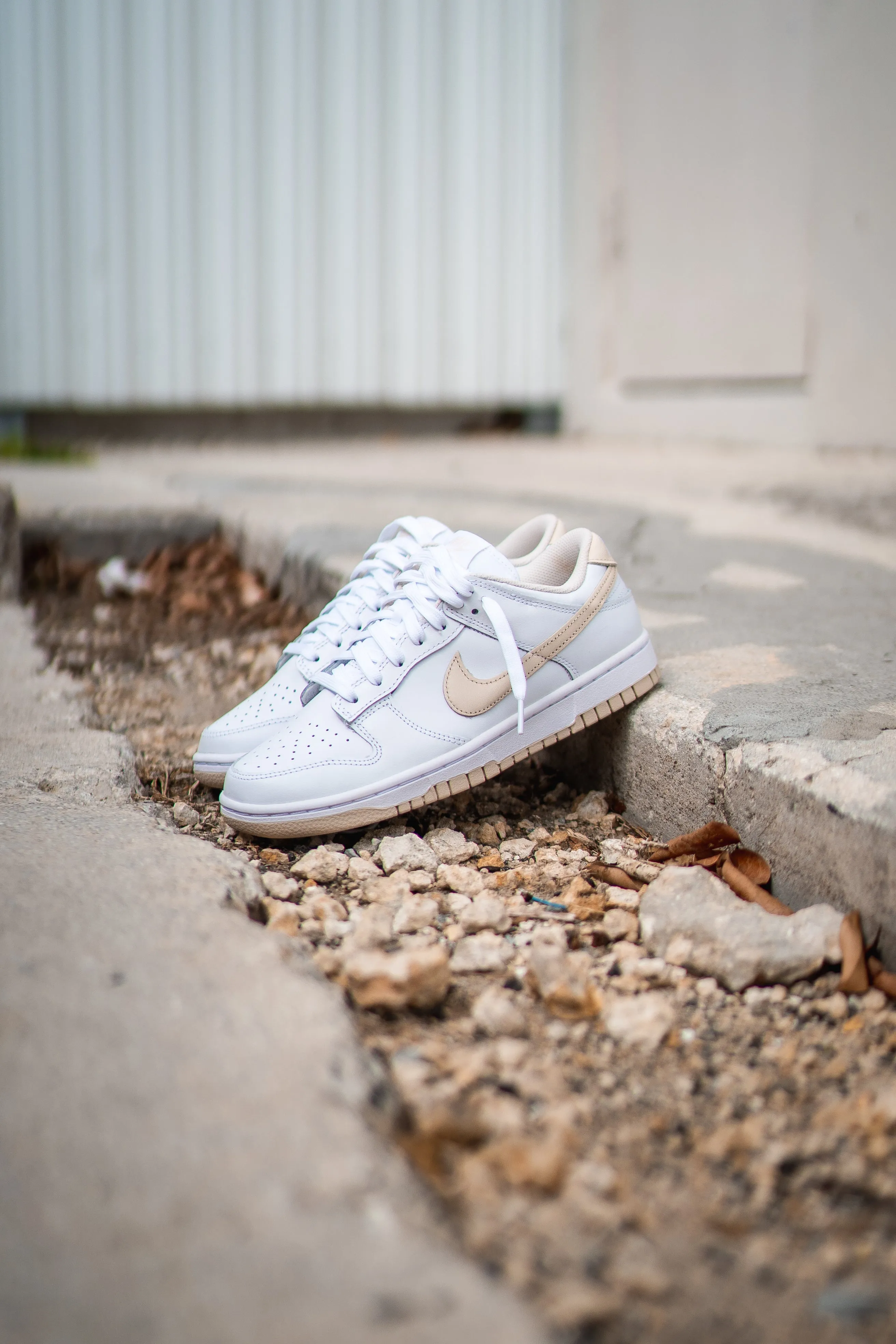 Acrylic Paint On Sneakers Women Nike Dunk Low (Pearl White)