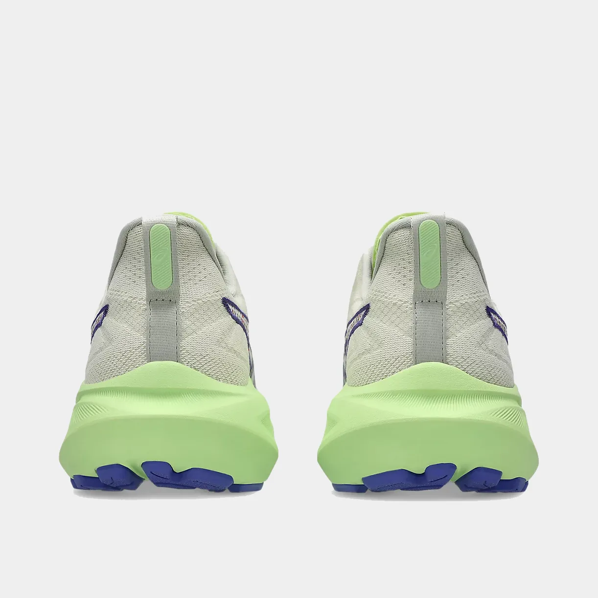 Asics Winterized Shoes GT-2000 13 TR