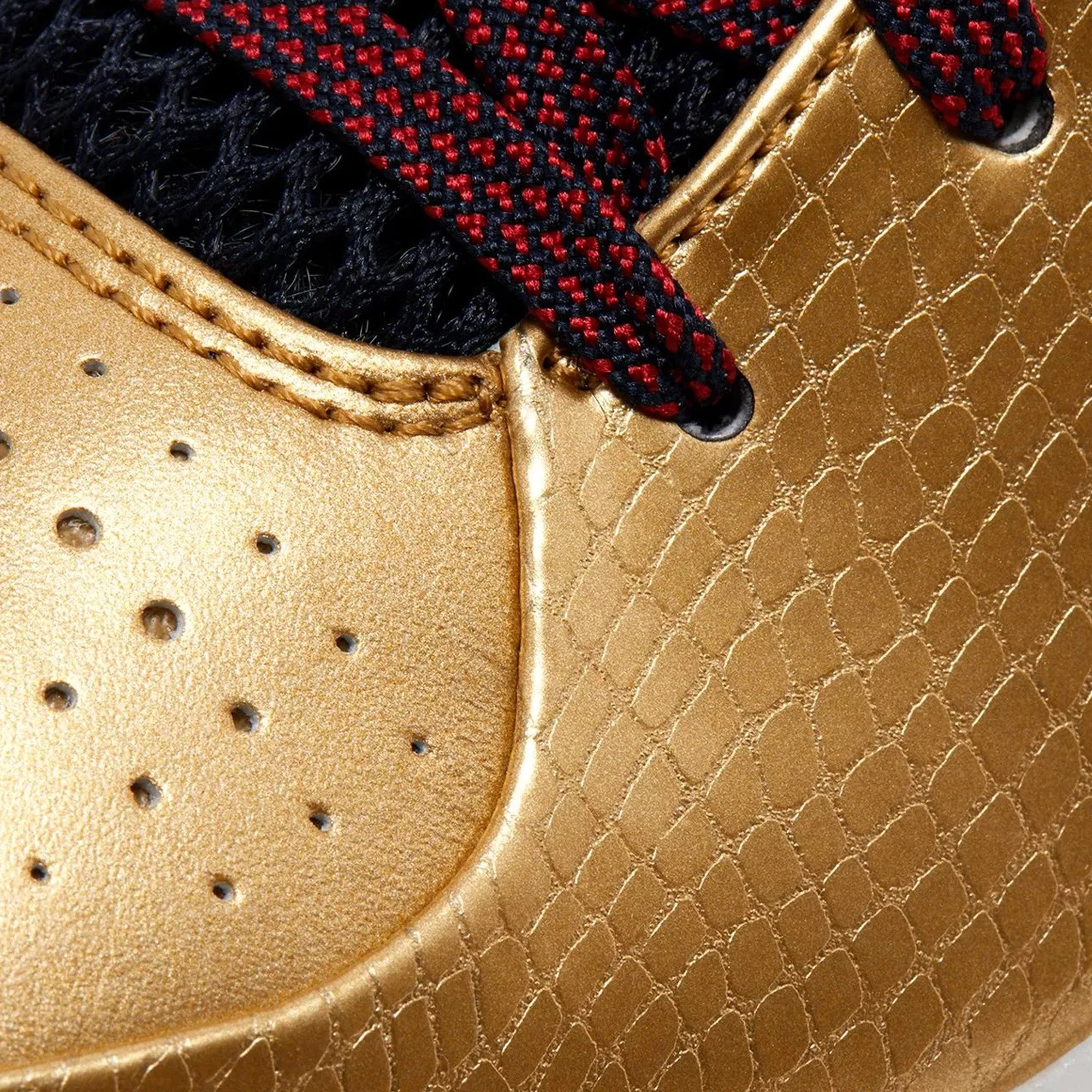 Asics Exeo Wrestling Shoes Nike Kobe 4 Protro 'Gold Medal' (2024)