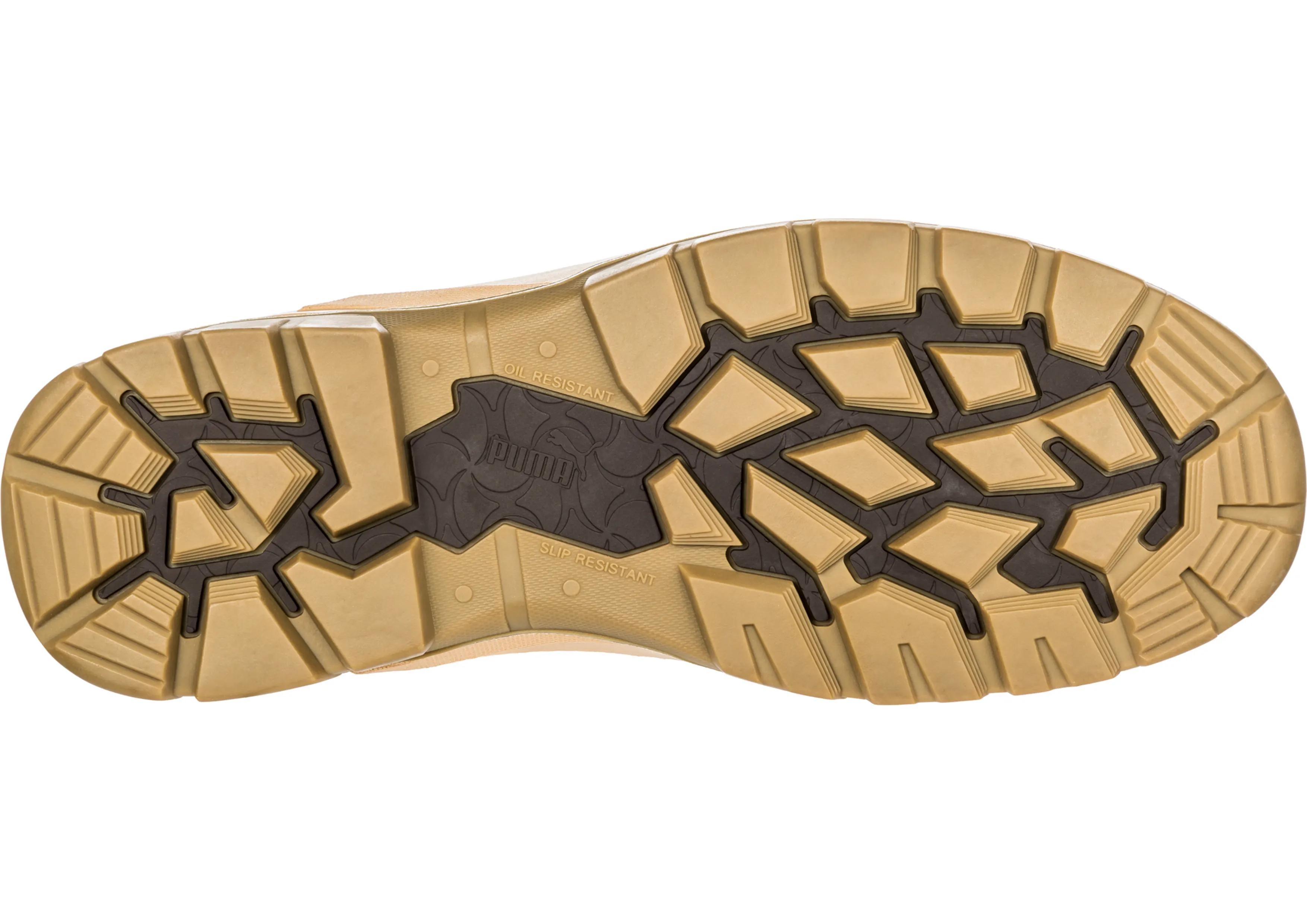 Asics Gel Pulse 15 Running Shoes PUMA Tornado Wheat (PUM630787)