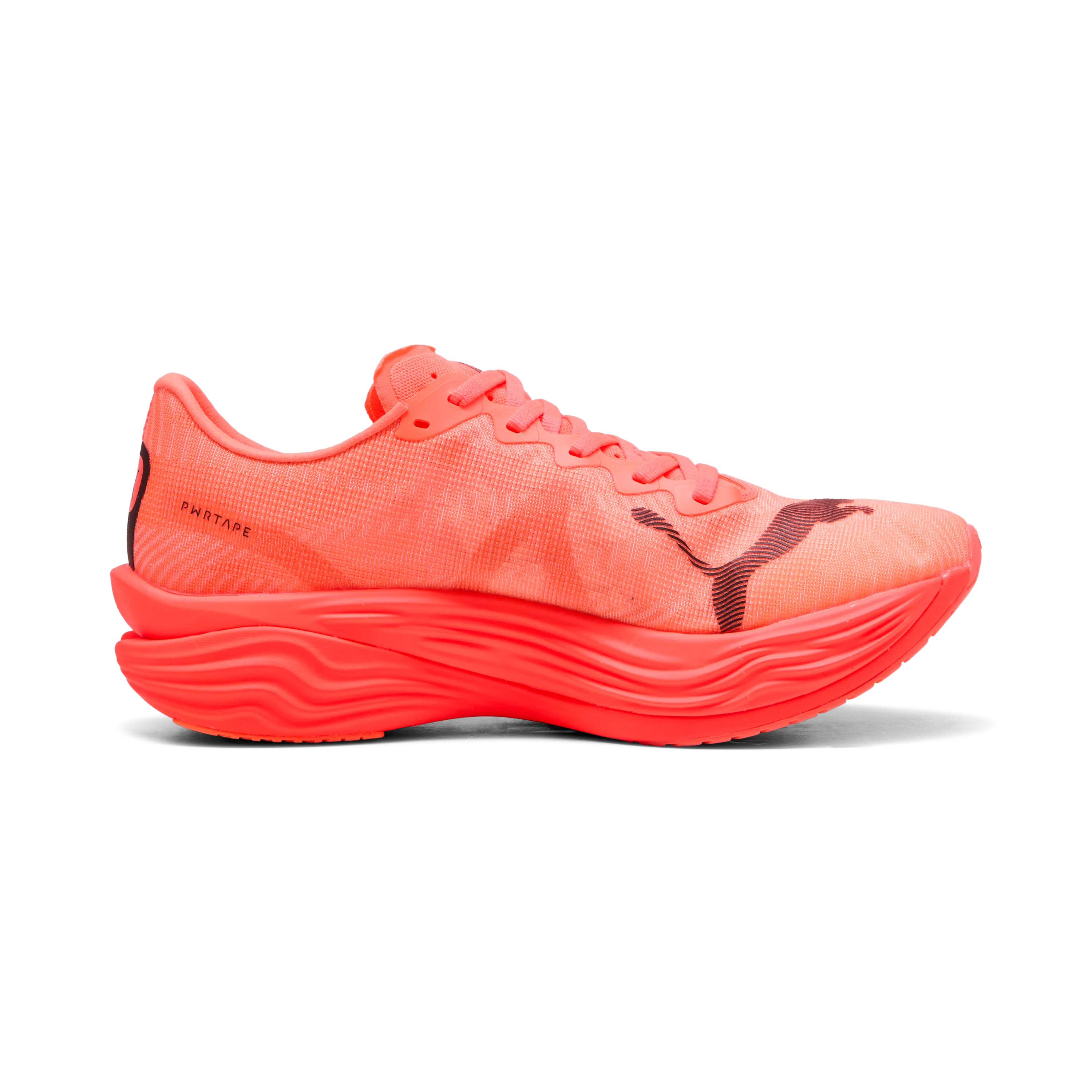 Asics Shoes Kayano 21 Puma Deviate NITRO Elite 3 men's