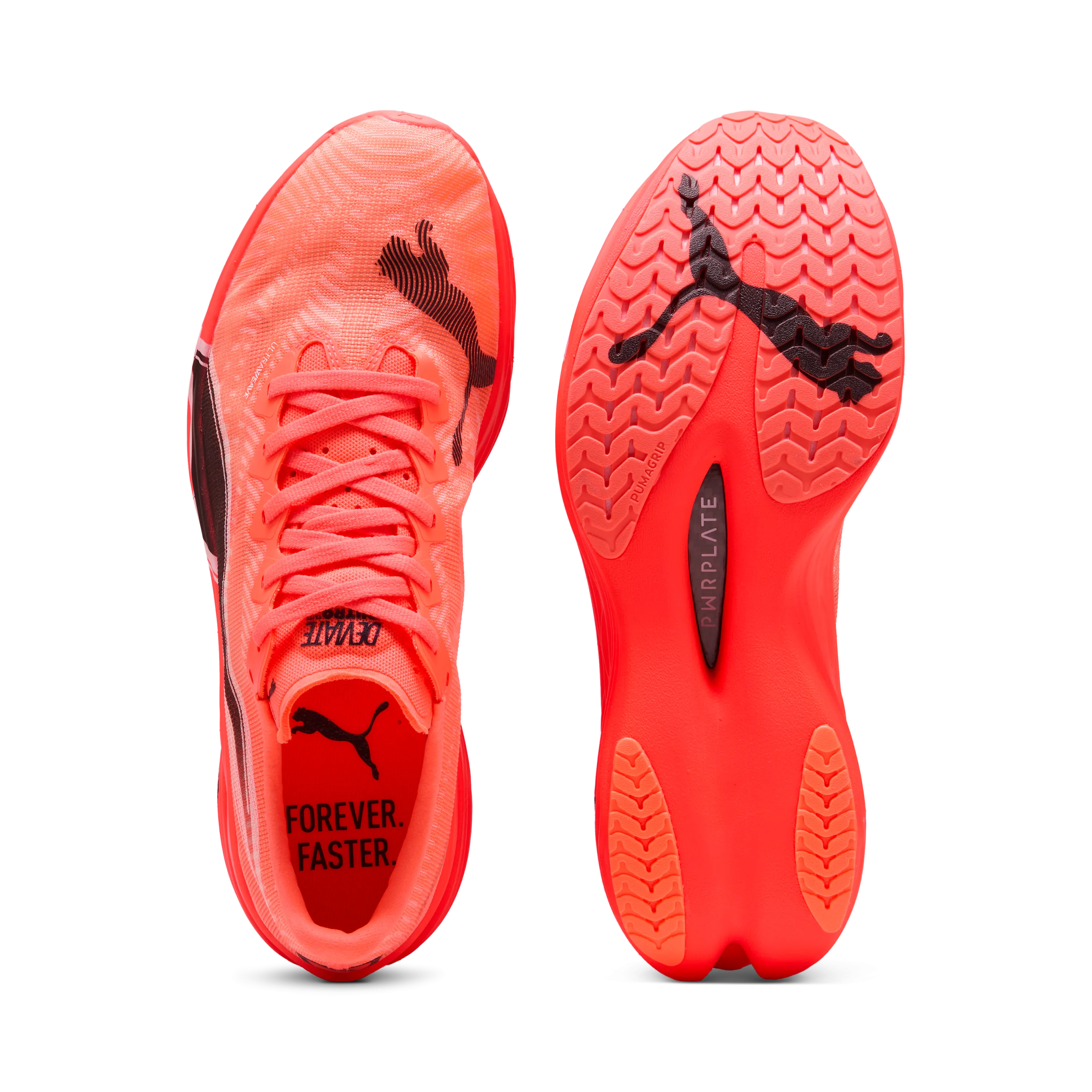 Asics Gt 2000 4 Shoe Puma Deviate NITRO Elite 3 men's